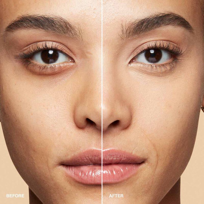 Bobbi Brown  Skin Full Cover Concealer image number 66